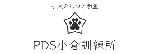 子犬のしつけ教室　PDS小倉訓練所